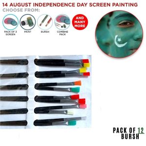 Independence Day painting brush 🖌️ pack of 12
